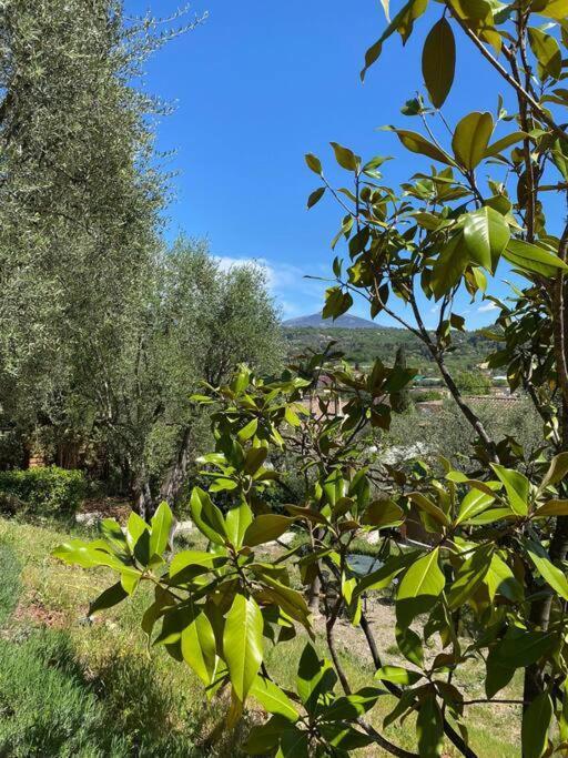 Rez De Jardin De Avec Terrain Et Piscine